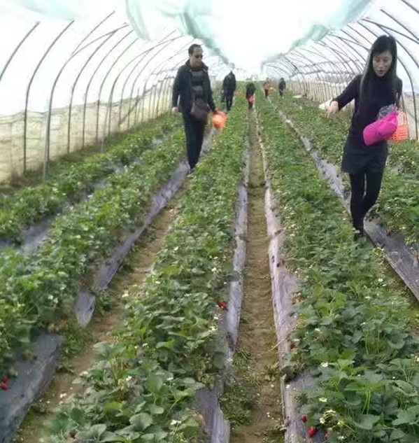 1_鍓湰.jpg