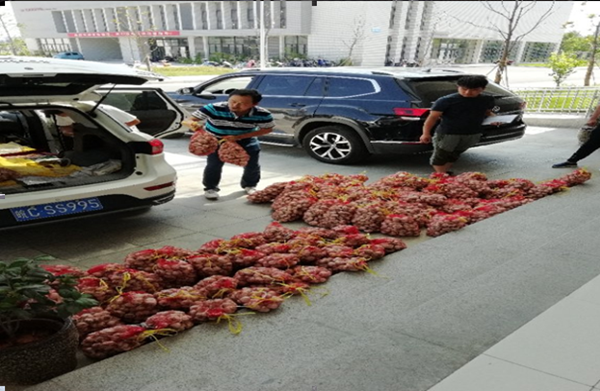 璐拱甯稿潫闀囩簿鍑嗘壎璐ぇ钂滆惀閫犳壎璐皼鍥?.png