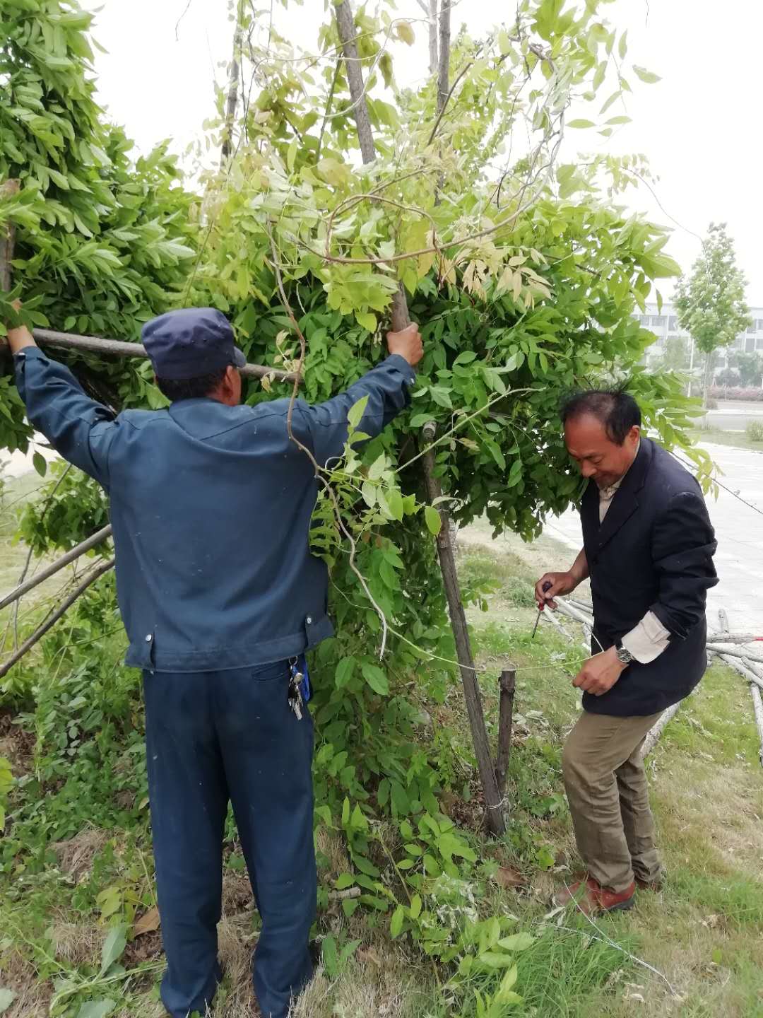 蚌埠学院校区人口面积概况_蚌埠学院(3)