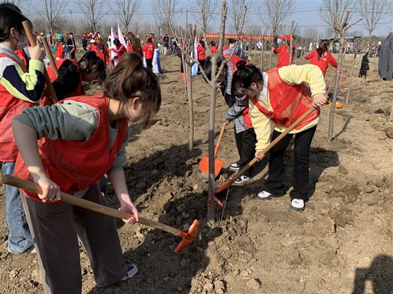 ce0a26910bbcd8f2acc3333e055d93a